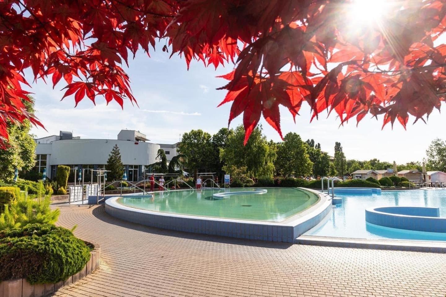Dom Alex Pri Kupalisku Thermalpark Dunajská Streda Exterior foto